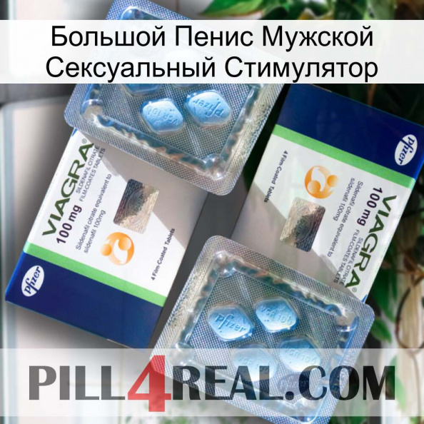 Большой Пенис Мужской Сексуальный Стимулятор viagra5.jpg